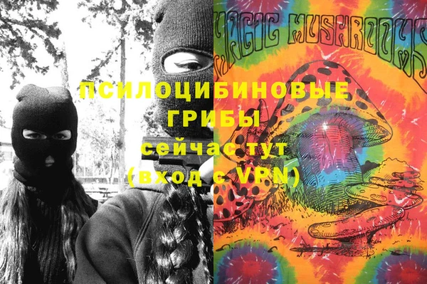 гашик Новодвинск