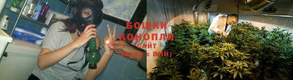 гашик Новодвинск