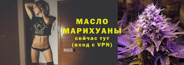 амф Новозыбков