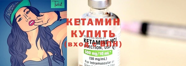 амф Новозыбков