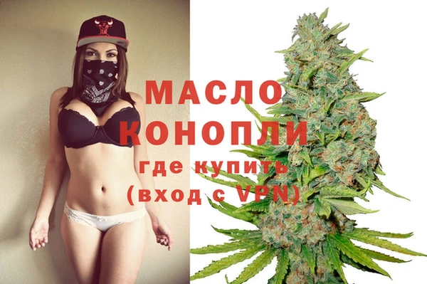 гашик Новодвинск