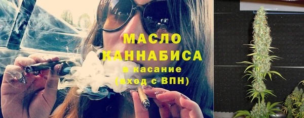 гашик Новодвинск