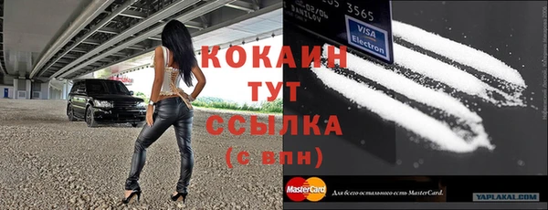 амф Новозыбков