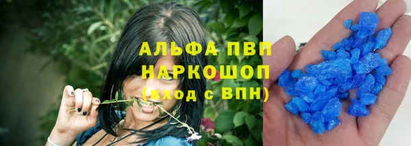 гашик Новодвинск