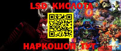 шишки Абинск