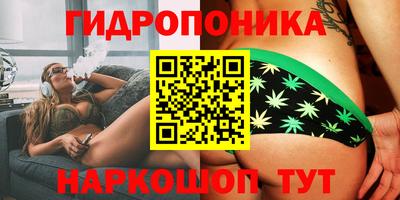 гидропоника Гусев