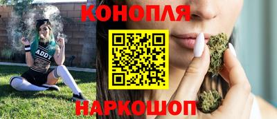 гидропоника Гусев